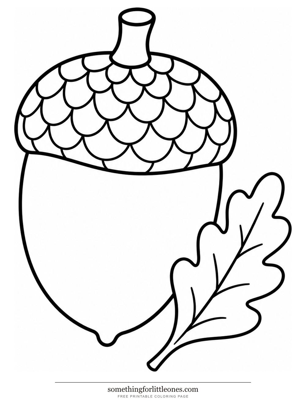 Line drawing of an acorn with a scaled cap and an oak leaf beside it